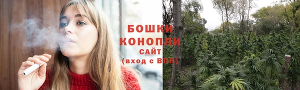 амф Верея