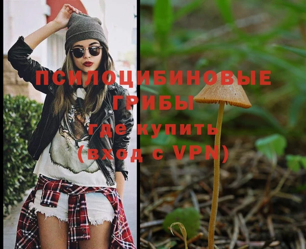 амф Верея