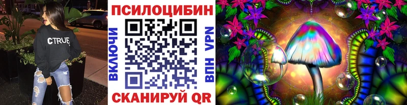 Псилоцибиновые грибы Psilocybine cubensis  как найти   Майкоп 