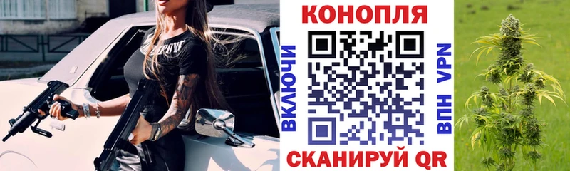 площадка официальный сайт  Майкоп  Бошки Шишки сатива 