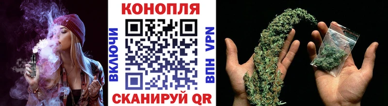 Бошки Шишки MAZAR Майкоп